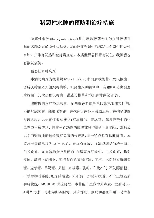 猪恶性水肿预防和治疗措施