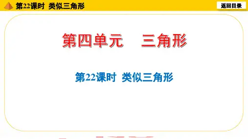 中考数学一轮复习：第22课时相似三角形课件