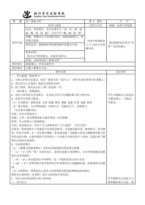 157-12-“番茄太阳”-1