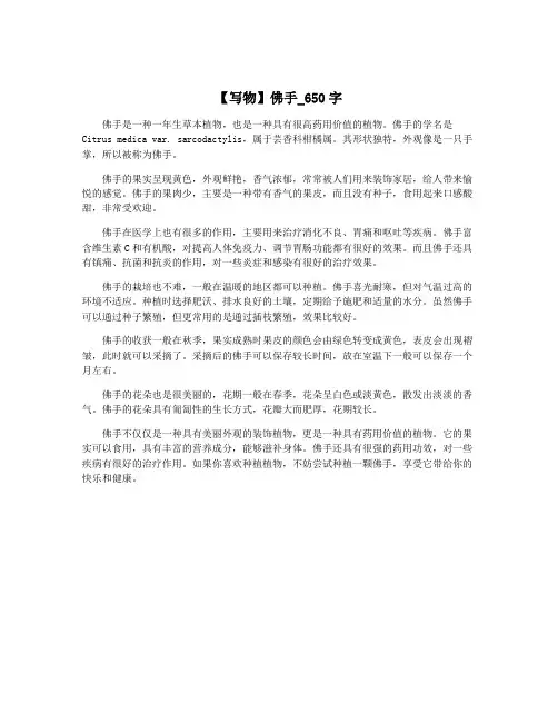 【写物】佛手_650字