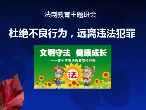 《杜绝不良行为,远离违法犯罪》PPT(完美版)