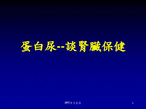 蛋白尿课件