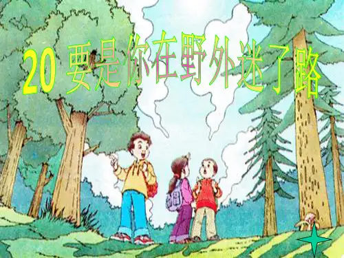 人教版二年级语文下册20要是你在野外迷了路