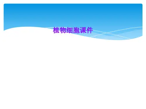植物细胞课件