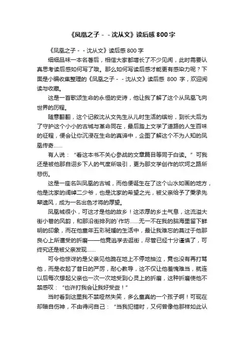 《凤凰之子－－沈从文》读后感800字