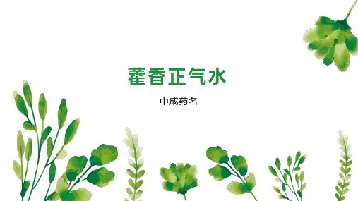 藿香正气水 