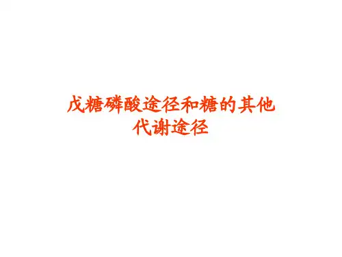【生物化学】戊糖代谢及其他糖代谢途径