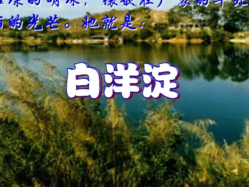 一单元第二课芦花荡PPT课件