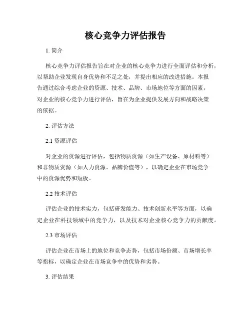 核心竞争力评估报告