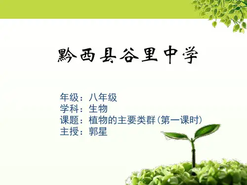 北师大版八年级下册生物《第3节 植物的主要类群》(一等奖课件) (1)