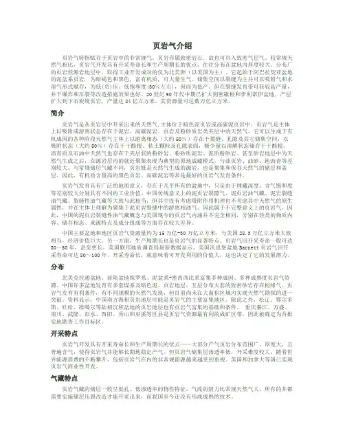 页岩气概述
