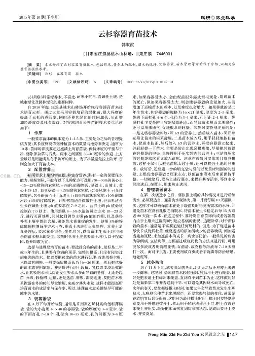 云杉容器育苗技术