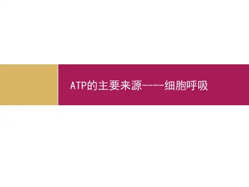 ATP的主要来源细胞呼吸