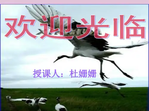 世界因生命而精彩ppt优秀课件 人教版