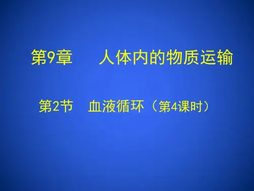 学年北师大版初中生物七年级下册：第9章 第2节 血液循环 血液循环的途径课件