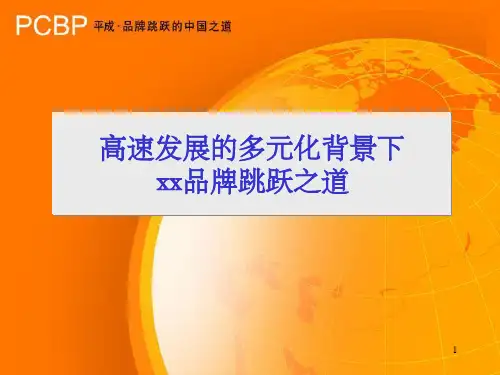 某家电品牌策略