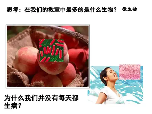 细胞识别与免疫汇总
