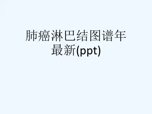 肺癌淋巴结图谱年最新(ppt)