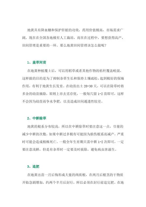 中药材地黄的田间管理技术