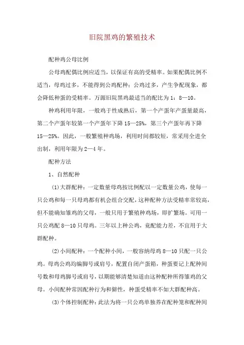 旧院黑鸡的繁殖技术