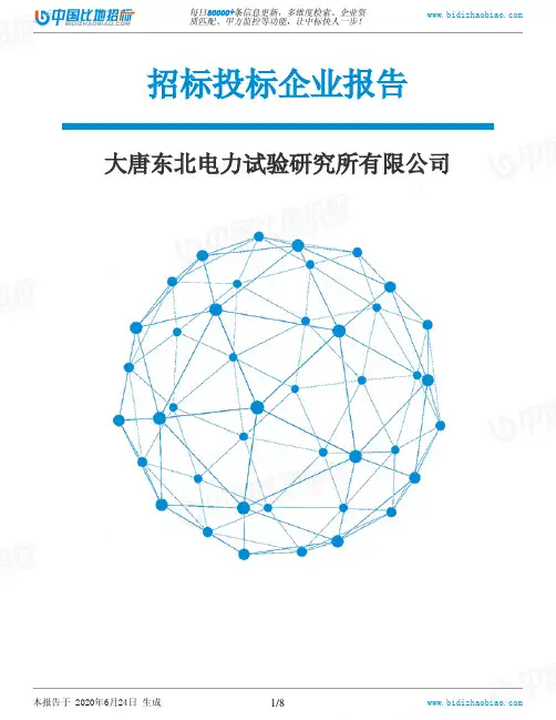大唐东北电力试验研究所有限公司-招投标数据分析报告