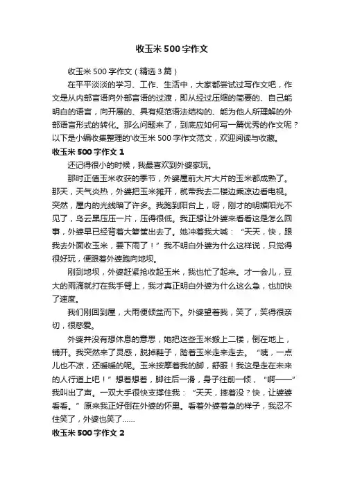 收玉米500字作文（精选3篇）