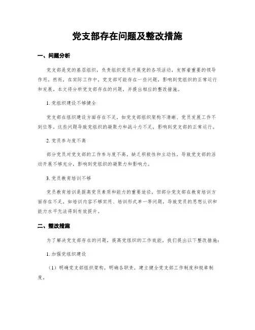 党支部存在问题及整改措施