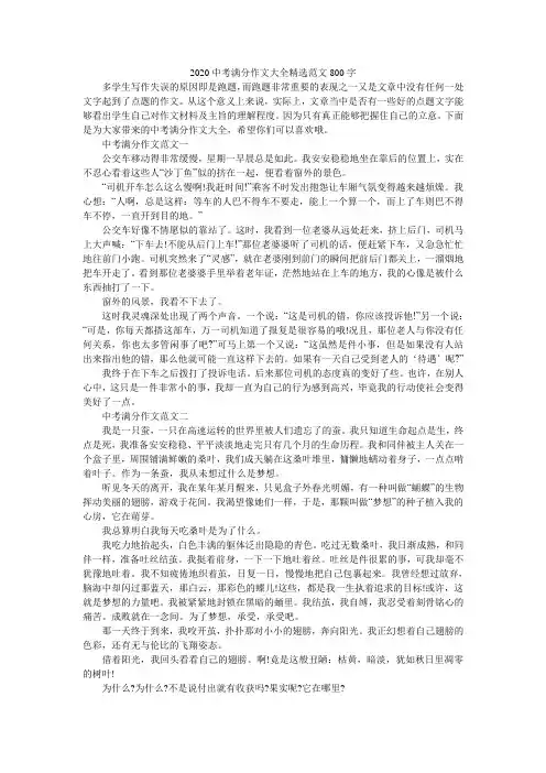 2020中考满分作文大全精选范文800字