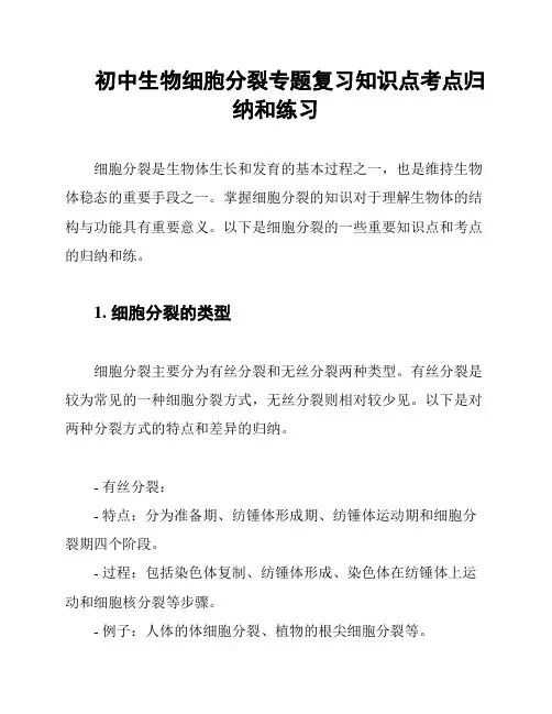 初中生物细胞分裂专题复习知识点考点归纳和练习