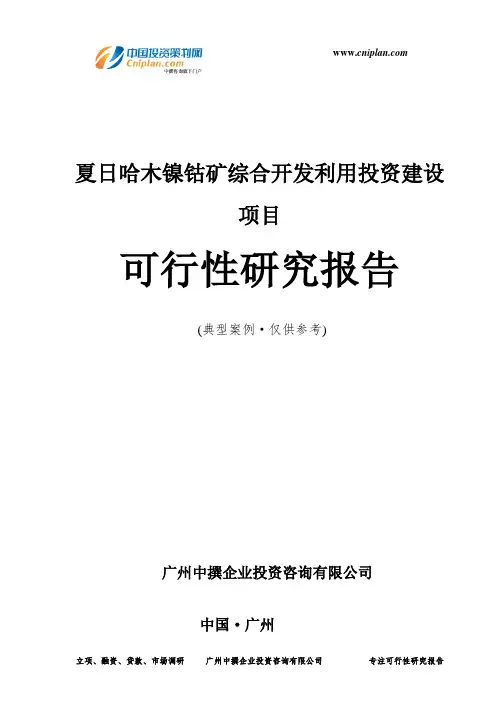 夏日哈木镍钴矿综合开发利用投资建设项目可行性研究报告-广州中撰咨询