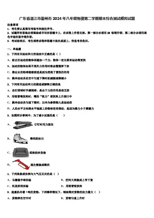 广东省湛江市雷州市2024年八年级物理第二学期期末综合测试模拟试题含解析
