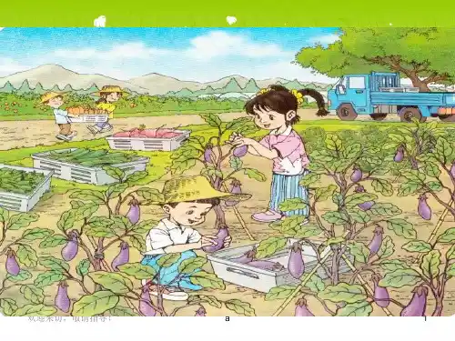 (人教新课标)一年级语文上册课件 菜园里