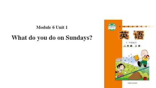 外研版二年级英语上册What do you do on Sundays课件
