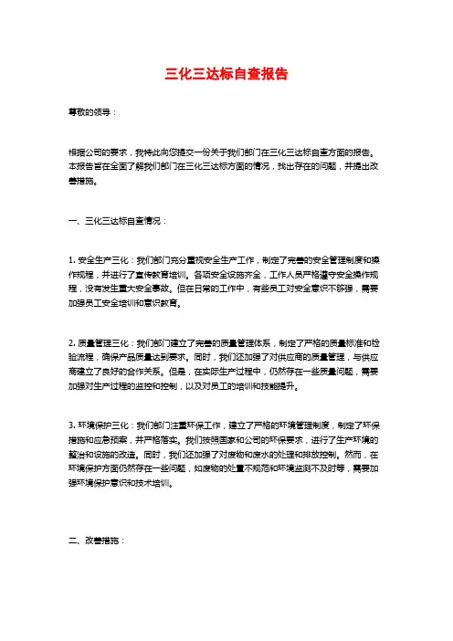三化三达标自查报告