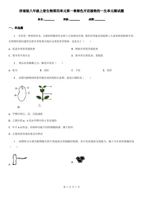 济南版八年级上册生物第四单元第一章绿色开花植物的一生单元测试题