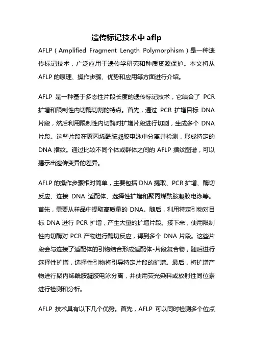 遗传标记技术中aflp