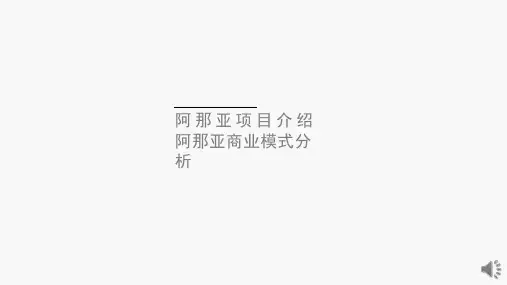 阿那亚项目及商业模式分析