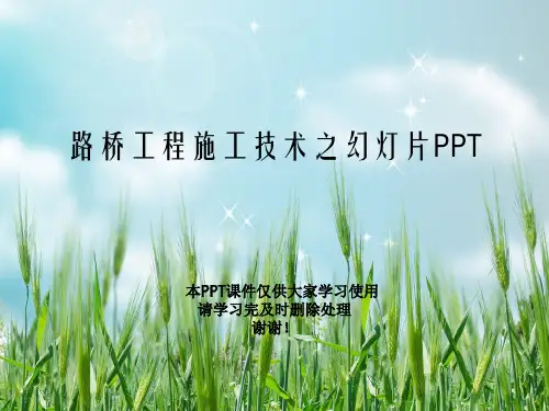 路桥工程施工技术之幻灯片PPT