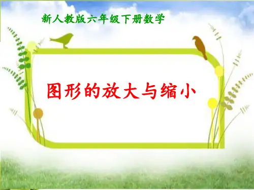 新人教版小学数学六年级图形的放大与缩小