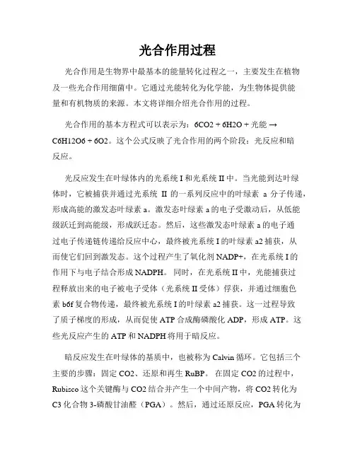 光合作用过程
