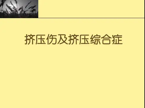挤压伤及挤压综合