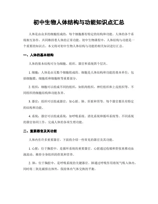 初中生物人体结构与功能知识点汇总
