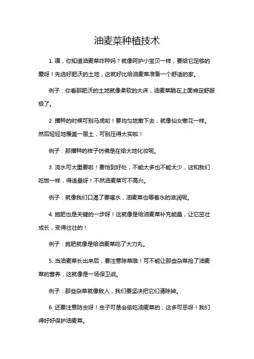 油麦菜种植技术