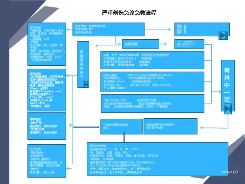 严重创伤急诊急救流程