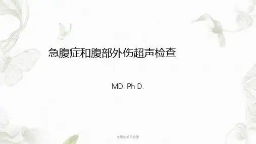 急腹症超声诊断ppt课件