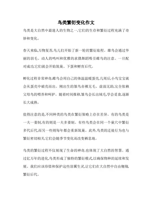 鸟类繁衍变化作文