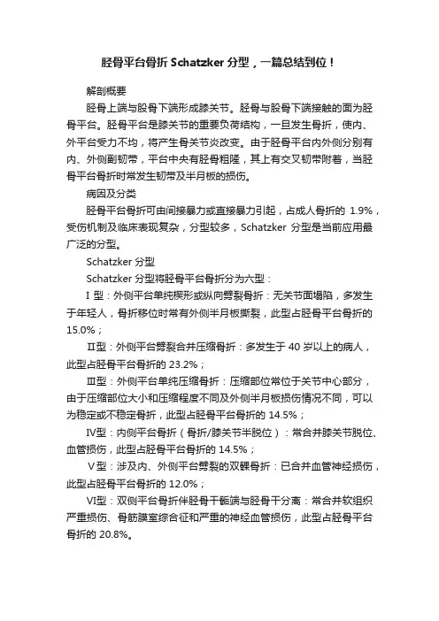 胫骨平台骨折Schatzker分型，一篇总结到位！