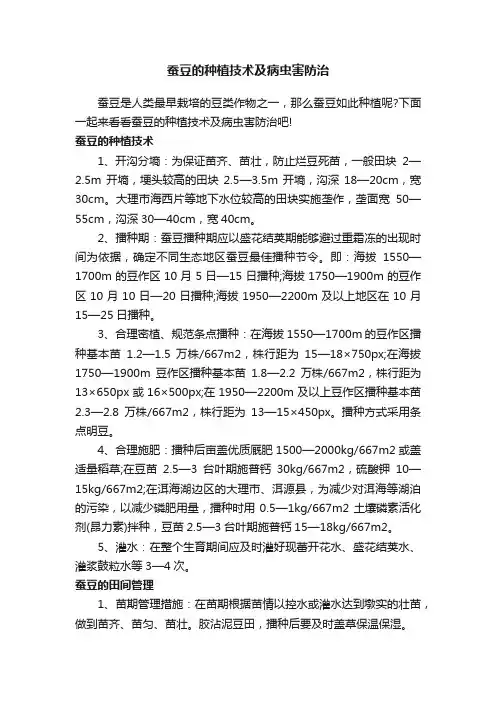 蚕豆的种植技术及病虫害防治