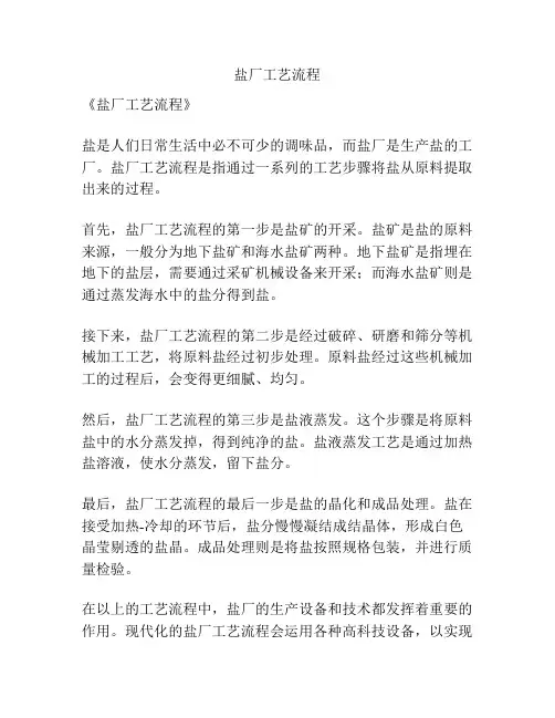 盐厂工艺流程