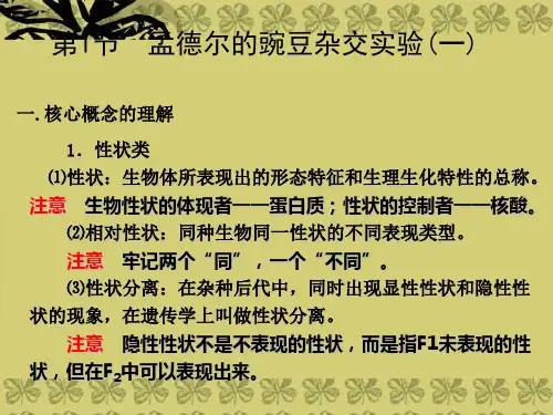 高考生物一轮复习 孟德尔(一)课件